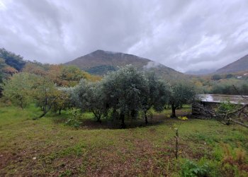 Foto 1 - Terreno agricolo Contrada Acquamora, Maenza - foto 1