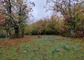 Foto 2 - Terreno agricolo Contrada Acquamora, Maenza - foto 2