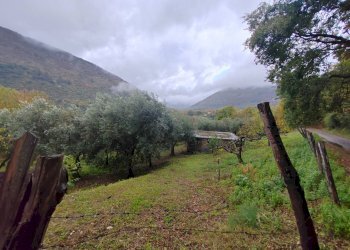 Foto 3 - Terreno agricolo Contrada Acquamora, Maenza - foto 3