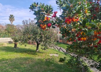 Foto 9 - Villa Via Monte Acuto
 
41, Maenza - foto 9