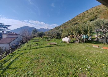 Foto 31 - Villa Via Monte Acuto
 
41, Maenza - foto 31