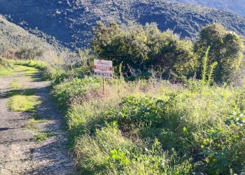 Foto 3 - Terreno edificabile Via Del Colle, Maenza - foto 3