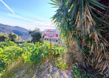 Foto 4 - Terreno edificabile Via Del Colle, Maenza - foto 4