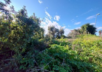 Foto 9 - Terreno edificabile Via Del Colle, Maenza - foto 9