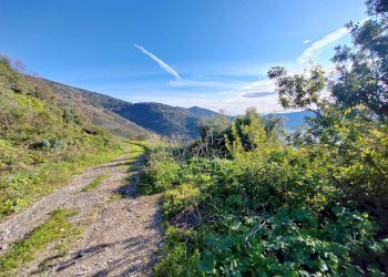 Foto 10 - Terreno edificabile Via Del Colle, Maenza - foto 10