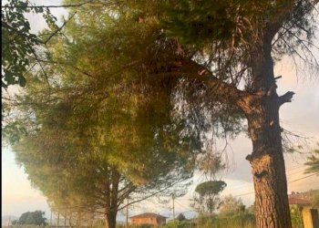 Foto 12 - Independent house via Consolare Capocroce, Sonnino - photo 12