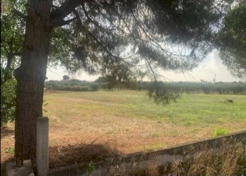 Foto 14 - Independent house via Consolare Capocroce, Sonnino - photo 14