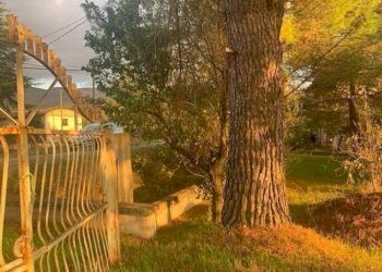 Foto 16 - Independent house via Consolare Capocroce, Sonnino - photo 16