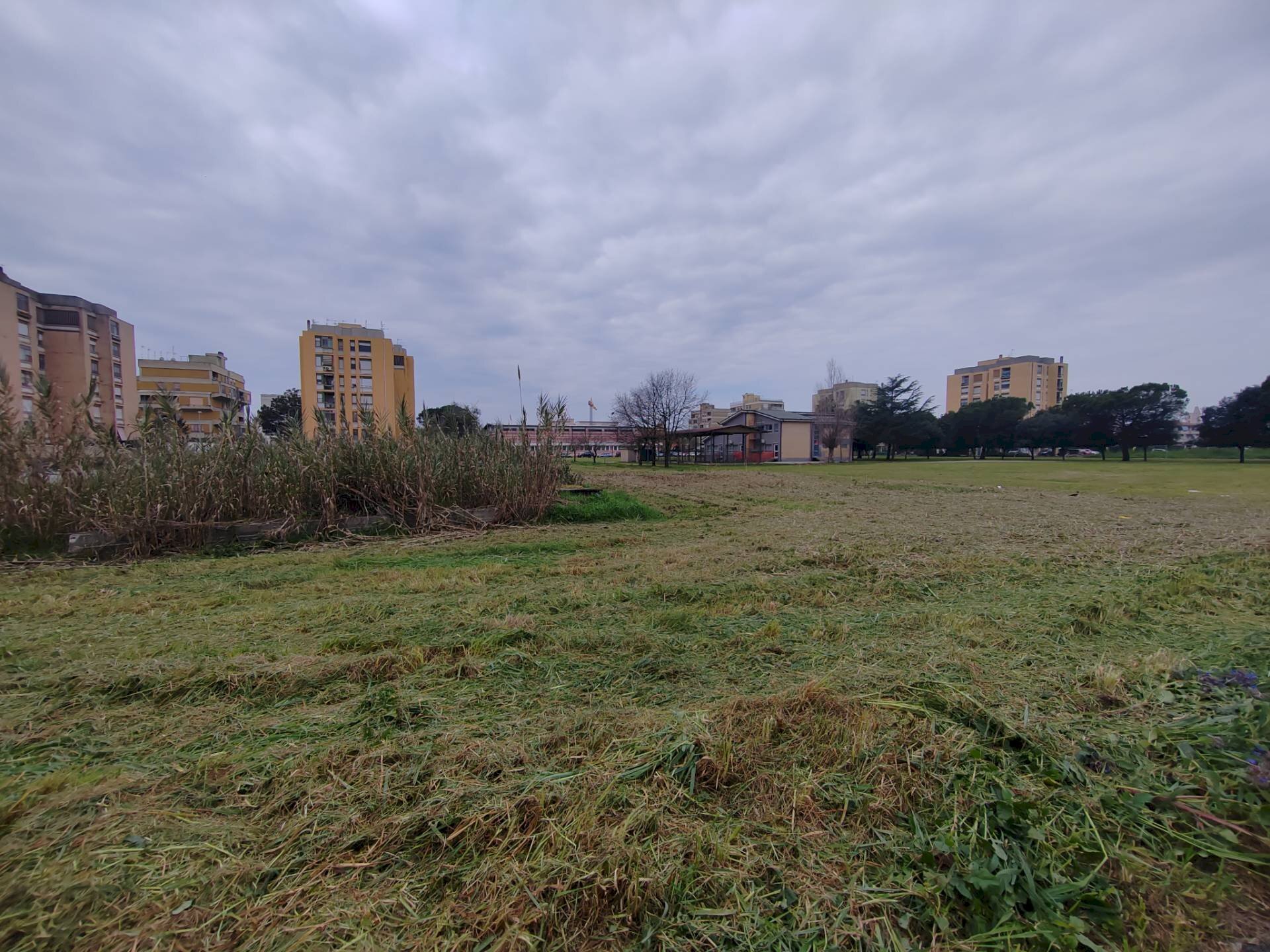 Foto 2 - Terreno edificabile Via Aldo Moro, Pontinia - foto 2