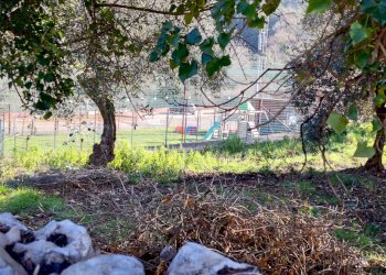 Foto 42 - Locale Commerciale Via Cerreto
50, Sonnino - foto 42