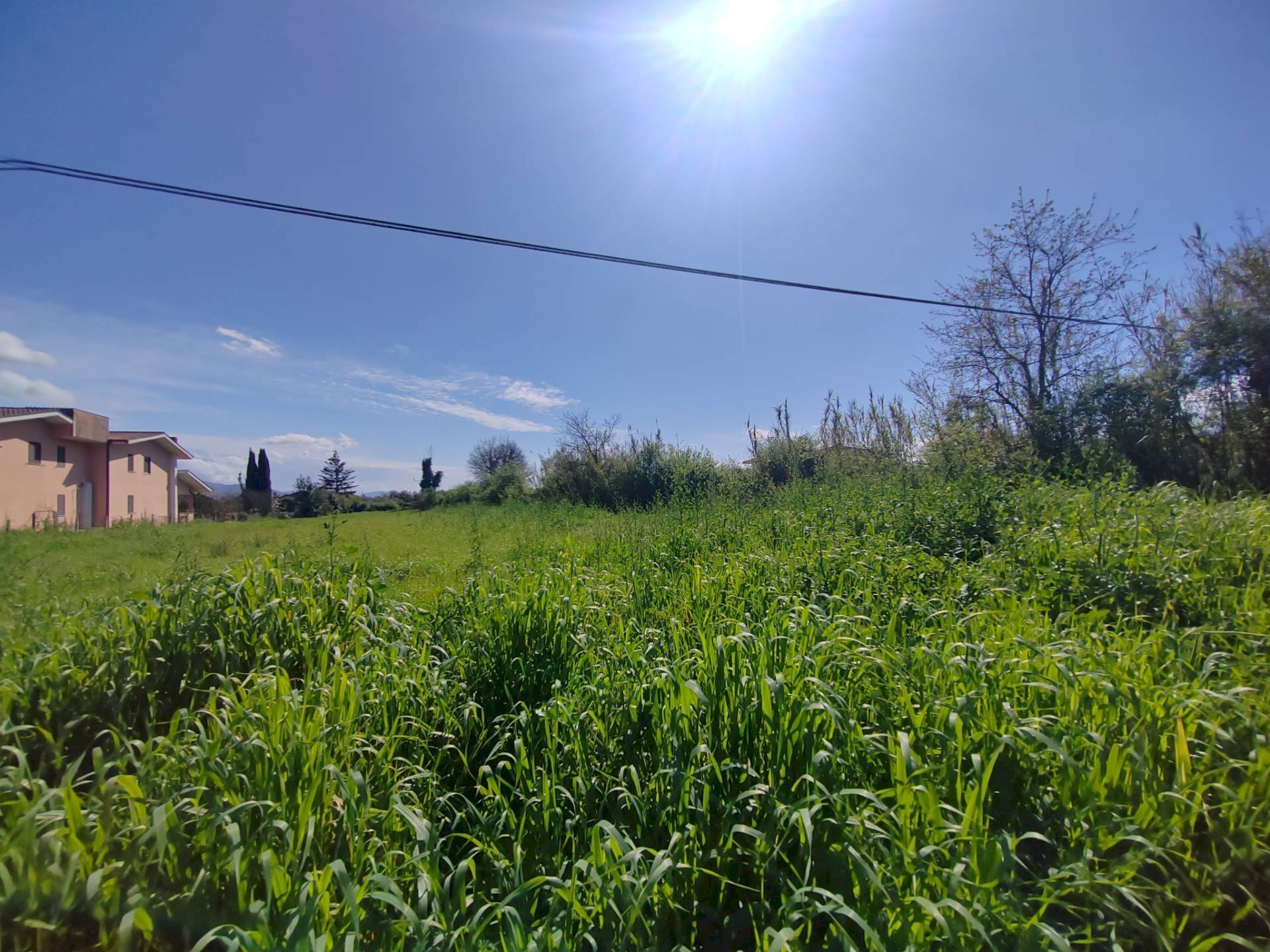 Foto 2 - Terreno agricolo Via Madonna i Martiri, Maenza - foto 2