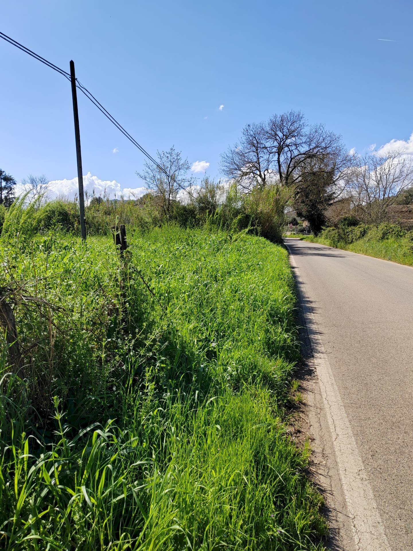 Foto 3 - Terreno agricolo Via Madonna i Martiri, Maenza - foto 3