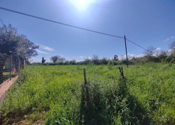 Foto 1 - Terreno agricolo Via Madonna i Martiri, Maenza - foto 1