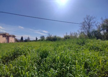 Foto 2 - Terreno agricolo Via Madonna i Martiri, Maenza - foto 2