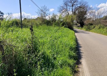 Foto 3 - Terreno agricolo Via Madonna i Martiri, Maenza - foto 3