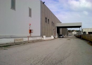 Foto 7 - Capannone Salino, Tortoreto - foto 7