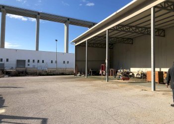 Foto 26 - Capannone Salino, Tortoreto - foto 26