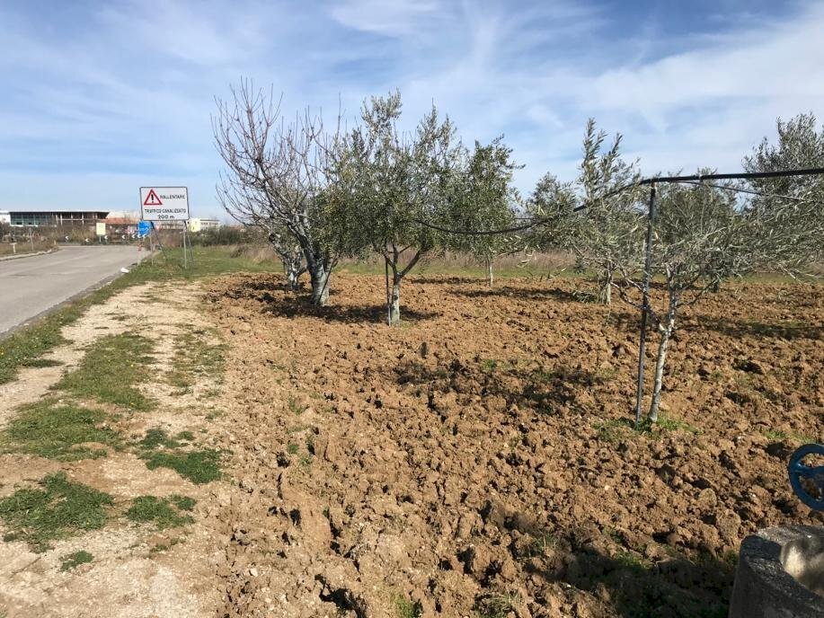 Foto 3 - Terreno agricolo Ripoli, Mosciano Sant'Angelo - foto 3