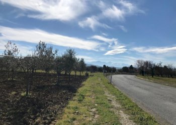 Foto 1 - Terreno agricolo Ripoli, Mosciano Sant'Angelo - foto 1