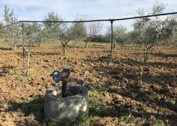 Foto 4 - Terreno agricolo Ripoli, Mosciano Sant'Angelo - foto 4