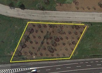 Foto 5 - Terreno agricolo Ripoli, Mosciano Sant'Angelo - foto 5