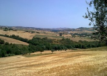 Foto 6 - Rustico Villa Penna, Bellante - foto 6