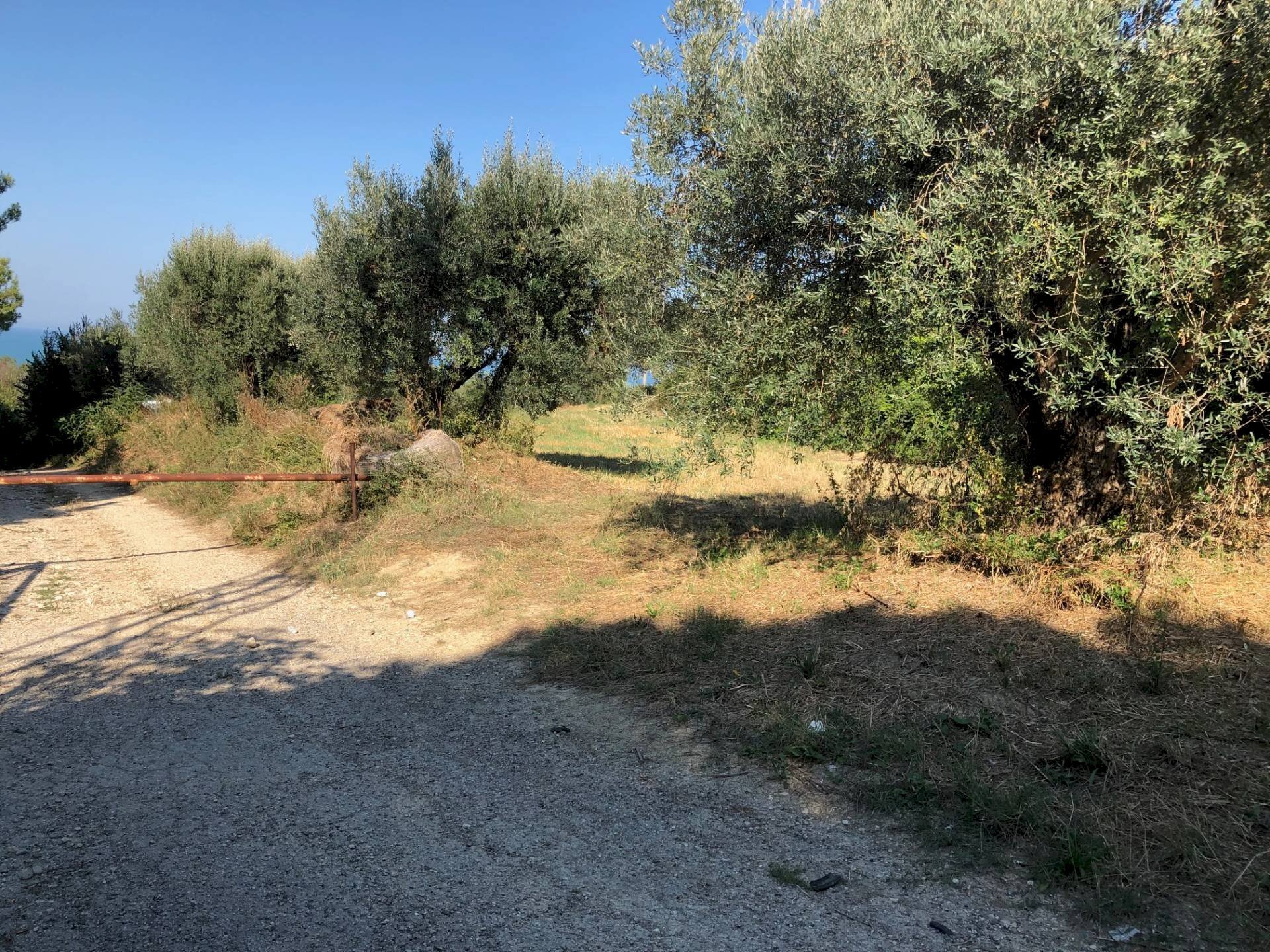 Foto 2 - Terreno edificabile Via Maggi, Mosciano Sant'Angelo - foto 2