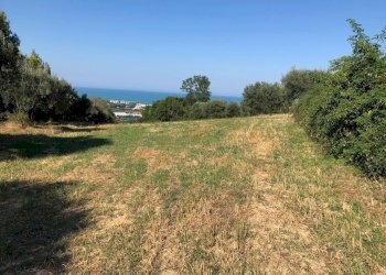 Foto 1 - Terreno edificabile Via Maggi, Mosciano Sant'Angelo - foto 1