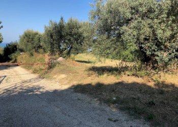 Foto 2 - Terreno edificabile Via Maggi, Mosciano Sant'Angelo - foto 2