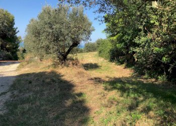 Foto 3 - Terreno edificabile Via Maggi, Mosciano Sant'Angelo - foto 3