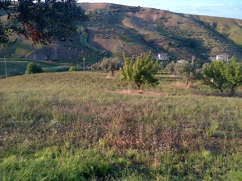 Foto 2 - Agricultural land Circonvallazione Boreale, Silvi - photo 2