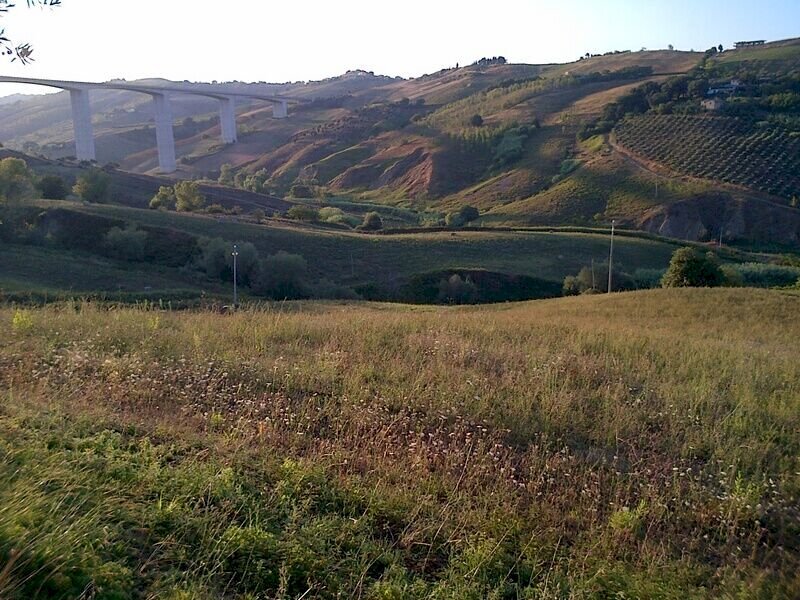 Foto 3 - Agricultural land Circonvallazione Boreale, Silvi - photo 3