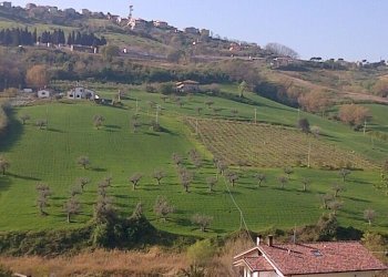 Foto 1 - Agricultural land Circonvallazione Boreale, Silvi - photo 1