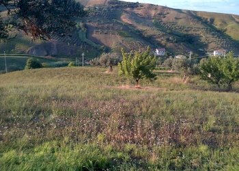 Foto 2 - Agricultural land Circonvallazione Boreale, Silvi - photo 2