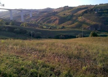 Foto 3 - Agricultural land Circonvallazione Boreale, Silvi - photo 3