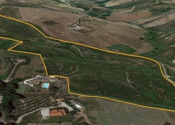 Foto 7 - Agricultural land Circonvallazione Boreale, Silvi - photo 7