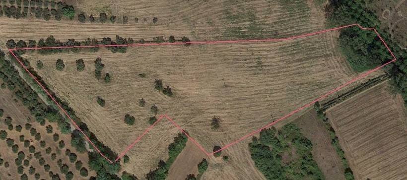 Foto 3 - Terreno agricolo Marrocchi, Campli - foto 3