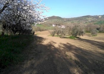Foto 1 - Terreno agricolo Marrocchi, Campli - foto 1