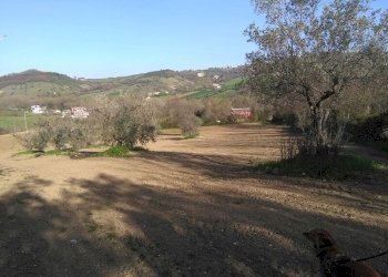 Foto 2 - Terreno agricolo Marrocchi, Campli - foto 2