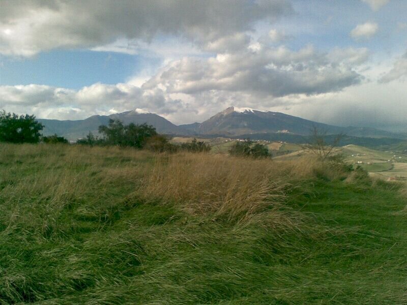 Foto 3 - Terreno agricolo Villa De Luca, Bellante - foto 3