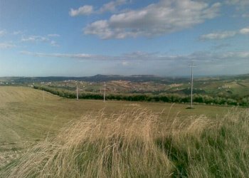Foto 5 - Terreno agricolo Villa De Luca, Bellante - foto 5