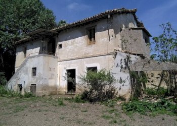 Foto 6 - Terreno agricolo Villa De Luca, Bellante - foto 6