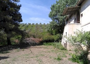 Foto 7 - Terreno agricolo Villa De Luca, Bellante - foto 7