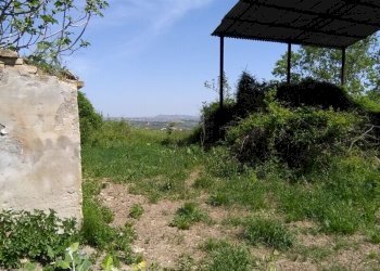 Foto 8 - Terreno agricolo Villa De Luca, Bellante - foto 8