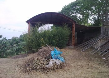 Foto 14 - Villa Cavatassi, Tortoreto - foto 14