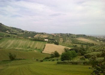 Foto 15 - Villa Cavatassi, Tortoreto - foto 15