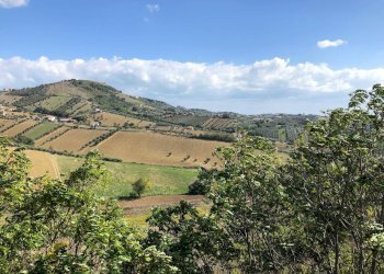 Foto 17 - Villa Cavatassi, Tortoreto - foto 17