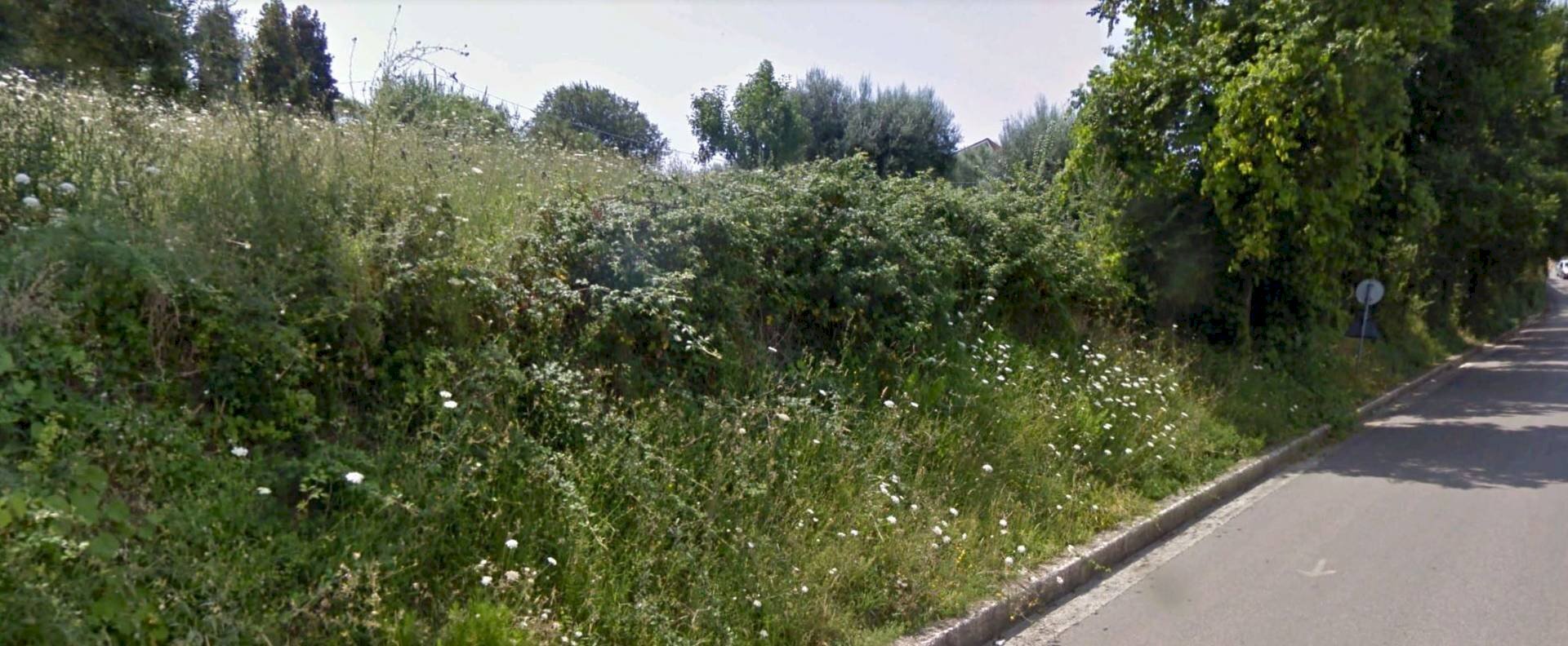 Foto 3 - Terreno edificabile Via Maggi, Mosciano Sant'Angelo - foto 3