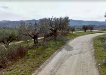 Foto 37 - Villa Carosi, Civitella del Tronto - photo 37