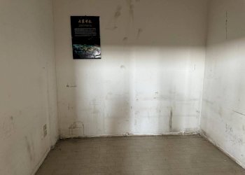 Foto 14 - Capannone Via I° Maggio, Nereto - foto 14